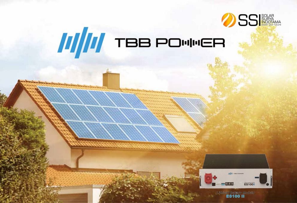 Battery Lithium Iron Phosphate (LiFePO4) 48-105A – TBB Power